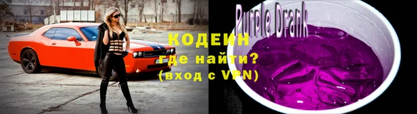 крисы Снежногорск