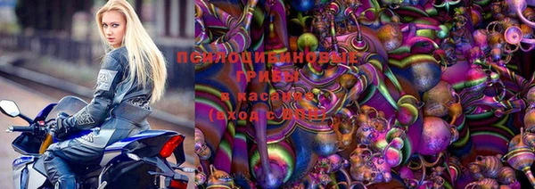 бошки Сосновый Бор