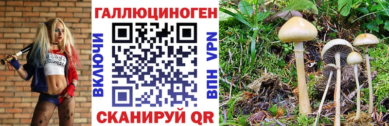 Псилоцибиновые грибы мухоморы  продажа наркотиков  Заречный 